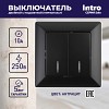 4-105-05 Выключатель Intro Solo 4-105-05 двухклавишный с подсветкой, 10А-250В, IP20, СУ,