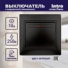 1-102-05 Выключатель Intro Plano 1-102-05 одноклавишный с подсветкой, 10А-250В, IP20, СУ,