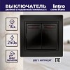 1-105-05 Выключатель Intro Plano 1-105-05 двухклавишный с подсветкой, 10А-250В, IP20, СУ,