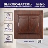 1-105-10 Выключатель Intro Plano 1-105-10 двухклавишный с подсветкой, 10А-250В, IP20, СУ,