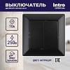4-104-05 Выключатель Intro Solo 4-104-05 двухклавишный 10А-250В, IP20, СУ, антрацит