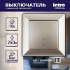 4-102-04 Выключатель Intro Solo 4-102-04 одноклавишный с подсветкой, 10А-250В, IP20, СУ,