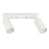 Светильники накладные Fametto DLC-S620 GU10x2 WHITE