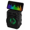 Портативная колонка Intro BRW290 bluetooth беспроводная акустическая черная