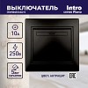 1-101-05 Выключатель Intro Plano 1-101-05 одноклавишный,10А-250В, IP20, СУ, антрацит