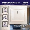 1-103-02 Переключатель Intro Plano 1-103-02 одноклавишный 10А-250В, IP20, СУ, слоновая ко