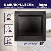 1-103-05  Переключатель Intro Plano 1-103-05 одноклавишный 10А-250В, IP20, СУ, антрацит