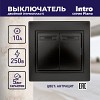 1-104-05 Выключатель Intro Plano 1-104-05 двухклавишный, 10А-250В, IP20, СУ, антрацит