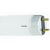 Camelion FT8 10W/54 DAY LIGHT 6500K (Люм. лампа 10 Ватт, L=345,5 mm)