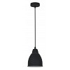 Camelion PL-430S-1  C02  чёрный (Светильник подвесной LOFT,  1х E27, 60Вт, 230В, металл)