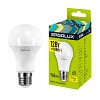 Ergolux LED-A60-12W-E27-3K (Эл.лампа светодиодная ЛОН 12Вт E27 3000K 220-240В)
