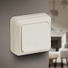 2-101-02 Выключатель Intro Quadro 2-101-02 одноклавишный 10А-250В, IP20, ОУ, слоновая кос