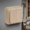 2-101-11 Выключатель Intro Quadro 2-101-11 одноклавишный 10А-250В, IP20, ОУ, сосна