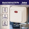 2-102-02 Выключатель Intro Quadro 2-102-02 одноклавишный с подсветкой, 10А-250В, IP20, ОУ