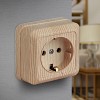 2-202-11  Розетка Intro Quadro 2-202-11 с заземлением 2P+E Schuko 16А-250В IP20 ОУ сосна