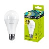 Ergolux LED-A65-20W-E27-3K (Эл.лампа светодиодная ЛОН 20Вт E27 3000K 180-240В)