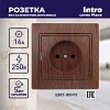 1-201-10 Розетка Intro Plano 1-201-10 без заземления 2P 16А-250В IP20 СУ венге