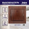 1-102-10 Выключатель Intro Plano 1-102-10 одноклавишный с подсветкой, 10А-250В, IP20, СУ,