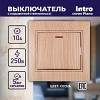 1-102-11 Выключатель Intro Plano 1-102-11 одноклавишный с подсветкой, 10А-250В, IP20, СУ,