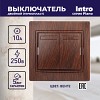1-104-10 Выключатель Intro Plano 1-104-10 двухклавишный, 10А-250В, IP20, СУ, венге