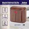 2-105-10 Выключатель Intro Quadro 2-105-10 двухклавишный с подсветкой, 10А-250В, IP20, ОУ