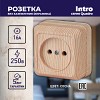2-201-11 Розетка Intro Quadro 2-201-11 без заземления 2P 16А-250В IP20 ОУ сосна