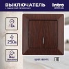 4-102-10 Выключатель Intro Solo 4-102-10 одноклавишный с подсветкой, 10А-250В, IP20, СУ,