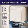 2-103-02 Переключатель Intro Quadro 2-103-02 одноклавишный 10А-250В, IP20, ОУ, Quadro, сл