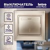 1-103-04 Переключатель Intro Plano 1-103-04 одноклавишный 10А-250В, IP20, СУ, шампань