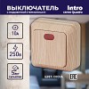 2-102-11 Выключатель Intro Quadro 2-102-11 одноклавишный с подсветкой, 10А-250В, IP20, ОУ