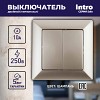 4-104-04 Выключатель Intro Solo 4-104-04 двухклавишный 10А-250В, IP20, СУ, шампань