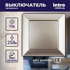 4-101-04 Выключатель Intro Solo 4-101-04 одноклавишный 10А-250В, IP20, СУ, шампань