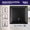 4-103-05 Переключатель Intro Solo 4-103-05 одноклавишный 10А-250В, IP20, СУ, антрацит