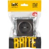 BRITE Розетка 1-местная без заземления с защитными шторками 10А РСш10-2-БрТБ темная бронза