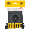 BRITE Розетка 1-местная без заземления без защитных шторок 10А в сб. РСР10-1-0-БрГ графит