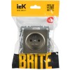 BRITE Розетка 1-местная без заземления с защитными шторками 10А РСш10-2-БрШ шампань IEK