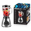 ERGOLUX ELX-TB02-C72 серебристо-черный PRO (блендер настольный,900 Вт, 220-240 В, стекл.чаша)
