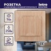 4-203-11 Розетка Intro Solo 4-203-11 с заземлением 2P+E Schuko с крышкой 16А-250В IP20 СУ