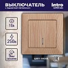 4-102-11 Выключатель Intro Solo 4-102-11 одноклавишный с подсветкой, 10А-250В, IP20, СУ,