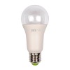Лампы светодиодные специального назначения / PPG A60 Agro 15w CLEAR E27 IP20 (для растений) Jazzway (5049444)