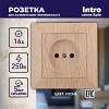 4-201-11 Розетка Intro Solo 4-201-11 без заземления 2P 16А-250В IP20 СУ сосна