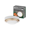 Светильник накладной LED ДПО Антарес 8Вт 6500К круг 140*58 мм мат.золото IP54 TDM