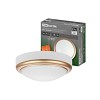 Светильник накладной LED ДПО Антарес 15Вт 6500К круг 180*66 мм мат.золото IP54 TDM