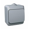 ЭТЮД Выключатель одноклавишный наружный IP44 серый Systeme (Schneider) (BA10-041C)