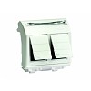 BRAVA Розетка компьютерная RJ45х2 категория 5е 2 разъема PcNet белая DKC (76656B)