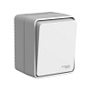AtlasDesign PROFI IP54 открытой установки 1-клавишный выключатель с самовозвратом 10 АХ, серый Systeme (Schneider) (ATN543015)