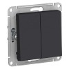 Выключатель двухклавишный ATLASDESIGN схема 5 10АХ механизм карбон Systeme (Schneider) (AT