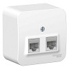 Розетка BLANCA наружная двойная компьютерная RJ45, кат.5e, с изолирующей пластиной, белый Systeme (Schneider) (BLNIA045451)