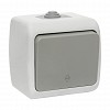 Выключатель Мурманск проходной 1-клавишный 10А IP54 серый EKF (EFV10-025-30-54)