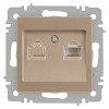 6-303-04 Розетка Intro Accent 6-303-04 информационная RJ45 IP20 СУ шампань